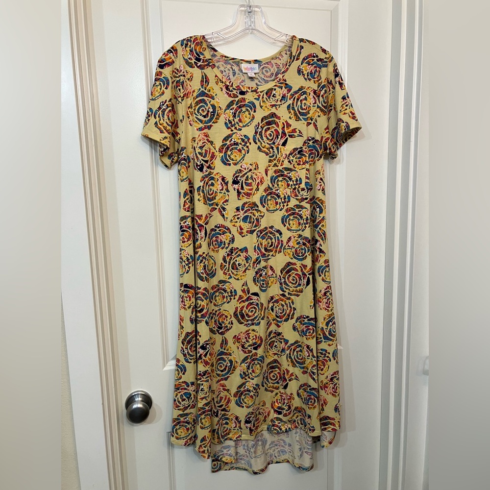 LuLaRoe Carly Swing Dress
